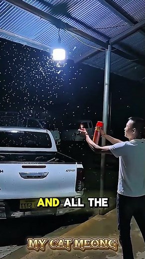 How to Get Rid of Moths Effectively 🦋🚫