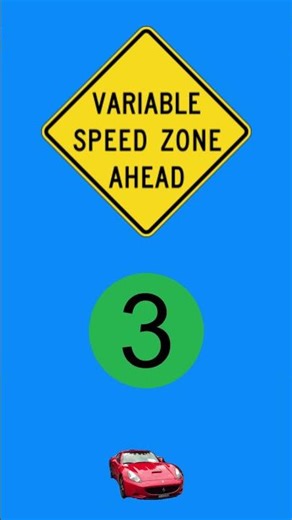 What does this road sign mean? 🚦