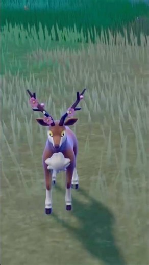 SHINY SPRING SAWSBUCK “DAWN” with the SLEEPY-TIME MARK in Pokémon Violet! 🌸✨ LIKE & SUBSCRIBE!