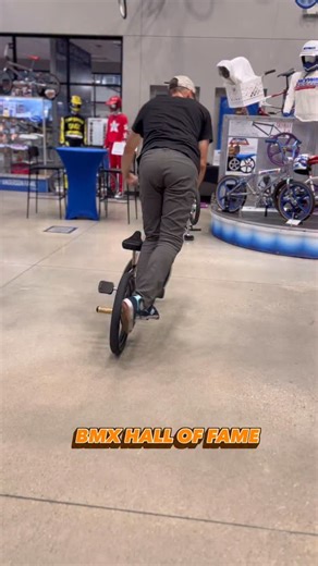 Riding in the BMX HALL OF FAME… 👇 FOLLOW👇 ………………………. @chainlinkzbmx