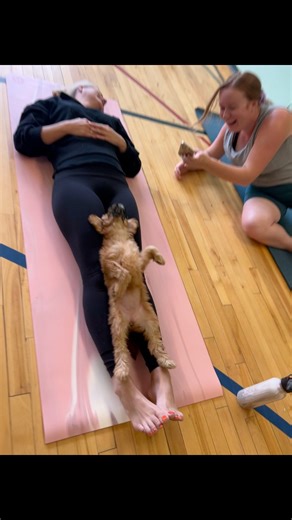 Teddy bear | Puppy Yoga