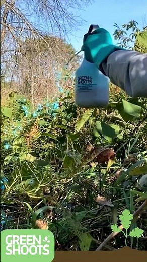 Stop Guessing Where You Sprayed: Green Shoots Foam Spray