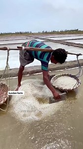 5.7K views · 26 reactions | How edible salt is made from seawater? #shorts #youtubeshorts #reels #reel #instagood #interesting #interestingfacts #didyouknow #facts #chinatravel #history #trending #amazing #amazingfacts #fact #knowledge #education #gyan #viralreels #viral #reelsinstagram #travel #gyaankibhasha | Kundan Facts | Facebook