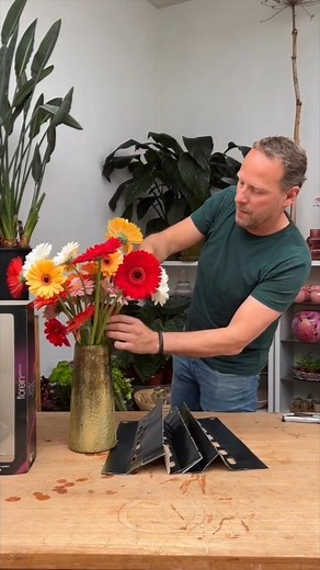 Process of unboxing our mix Gerbera box. So easy to create a colorful bright bouquet that will bring lots of joy!🌼 Hans Zijlstra #gerberadaisy #gerberalover #gerberadaisies #gerberaarrangement #gerbera #flowerslover #flowerpower #floweraddict | Florein Gerbera’s