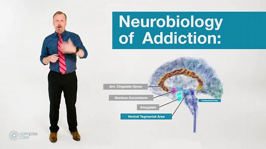 Addiction Neuroscience 101