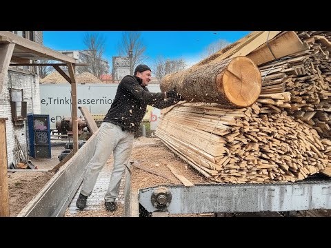 The Operator Who Processes Timber Like a Machine