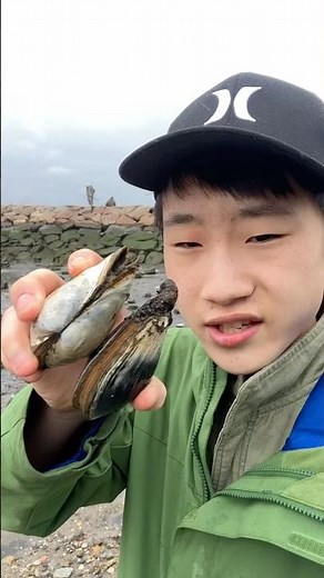 Let’s try soft shell clam!