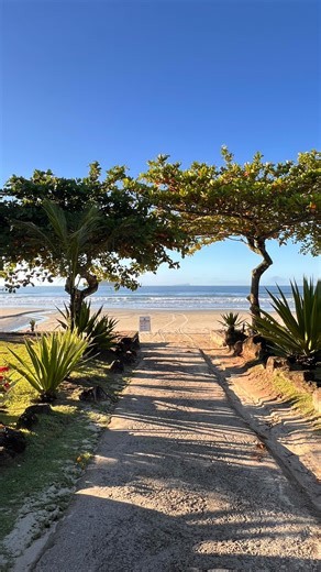 Camburi Surf Report on Instagram: "🌊🌊🌊🌊🌊🌊🌊🌊🌊 Bom dia Segunda-feira, 26 de janeiro Praia da Baleia , 6:35hs, o sol chega com tudo nesse início de semana e ainda com ondas com até meio metro em alguns picos. Previsão de instabilidade no tempo com temporais de verão a tarde e noite durante toda semana. Swell previsto para a semana que vem. Música: Glamour Tropical Versão @alfredoboer @lucasnardobass Temperatura da água: 26°C. Ideal para uma lycra Use @allsurfbrasil - a marca do CSR Apoio: