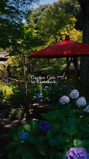Tokyo Retreat™︎＊＊＊ Cafe,Bistro,Hotel,Sauna,Gemstm on Instagram: "en↓咲き乱れる紫陽花、重要文化財の邸宅。和菓子が合う、最高に癒される時間でした🍵 -— @tokyoretreat_life.trip 👈東京近郊の、リトリートできる癒しの場所を巡る旅をご一緒に☕︎ -— ・ 📍Nioumon Kamakura Bettei / Kamakura, 1hour from Tokyo ・ 鎌倉にある、国の重要文化財「一条恵観山荘」にある和カフェ。 ここには以前来たことがあるのですが、お店がリニューアルされたとのことで、改めて行ってきました！ まず素晴らしいのは、圧巻の日本庭園🌱 ここ、今の季節は紫陽花が咲き乱れてホントにキレイなのですが、初夏は新緑、秋は紅葉で庭が美しく染まる、素晴らしいスポットです・・！😳 庭園を抜けると、数寄屋建築の邸宅が現れます。約370年前に皇族の別荘として京都に建てられ、それが数十年前に鎌倉に移築されたとのこと。 国の重要文化財に指定されています。 店内に入ると、窓の外の庭園が本当に美しい