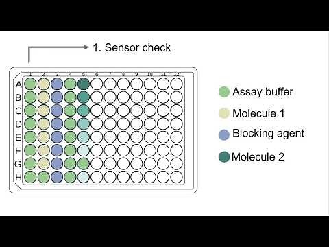 Bio-layer interferometry