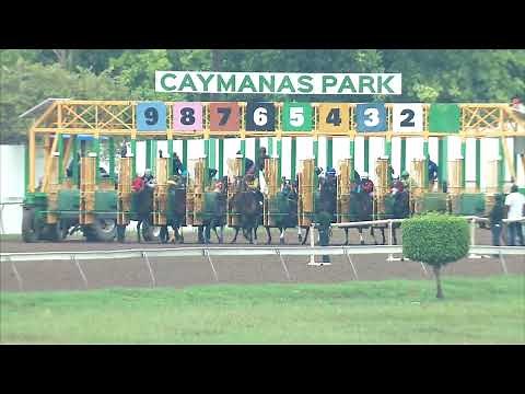 Caymanas Park Jamaica | Sunday, August 27, 2023. LIVE STREAM