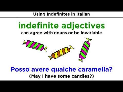 Indefinites in Italian: Pronomi e Aggettivi Indefiniti