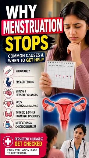Why Does Menstruation Stop? | Common Causes of Missed Periods Explained