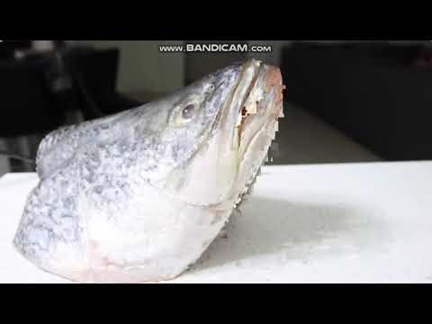 HowToBasic Male Narrator Furiously Losing It for 176 secs