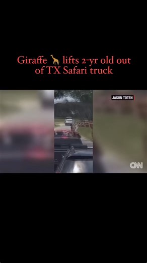 24K views · 168 reactions | Giraffe grabs 2-year-old trying to feed it at Texas safari, lifting her out of truck, dramatic video shows. Credit CNN | The Tim Conway, Jr. Show | Facebook