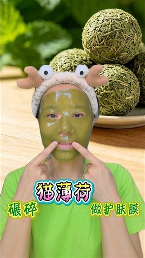 Making Face Mask With Catnip｜Weird Satisfying DIY