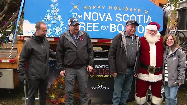 Boston's official Christmas Tree arrives on Boston Common
