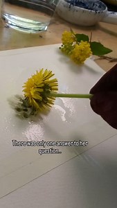 A forest painted with flowers. Yes, actual flowers. Watch as Rockwell IBA @levitatingtrees brings sunlight to paper with dandelions, ink, and instinct—no brushes needed. The result? A dreamlike meadow kissed by golden light and moody shadows. Let this reel remind you that nature isn’t just inspiration… it’s a tool. Try it yourself and tag us so we can see your floral magic bloom. Use code MALIN to save on your next order of Rockwell watercolors! #dandelionart #levitatingtrees #rockwellart #flora