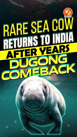 Do you know which state has created India’s first Dugong Conservation Reserve in Palk Bay? Comment below. #UPSC #SeaCow #Dugong #Wildlife #Animals #MarineLife #Nature #Shorts #Rare #Viral #Trending | Vajiram & Ravi