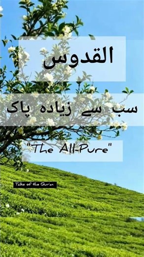 99 names of Allah Almighty| recitation #knowledgeofislam #The All-Pure