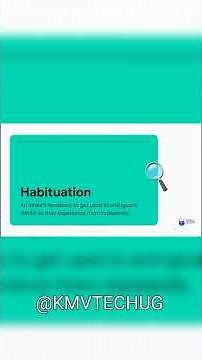 Habituation in Developmental Psychology #cognitivestyles
