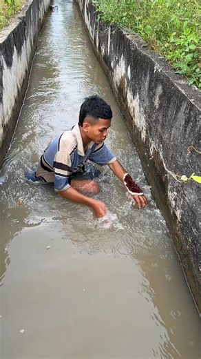 5.3K views · 37 reactions | Ticks #ticks #ticksdog #tickseason #tickshot | Theodora | Facebook