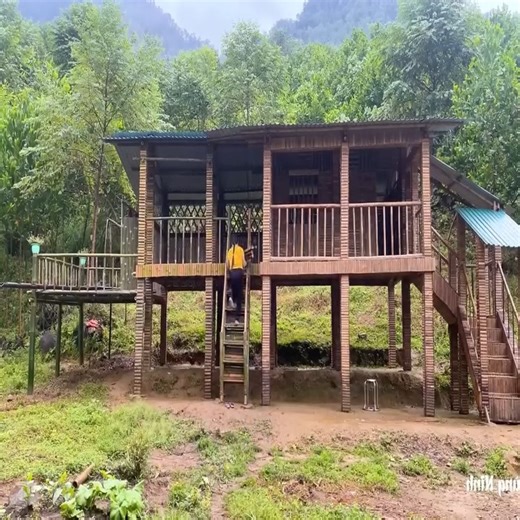 396K views · 8K reactions | 188 Days Single Mother Build Bamboo Stilt House from Start To Finish | Lalisa lifestyle | Facebook