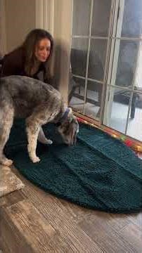 Muddy Mat makes it easy to keep your floors clean. 🐾 #shorts