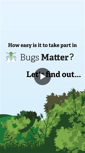 #citizensciencemonth #bugsmatter #citizenscience | Kent Wildlife Trust