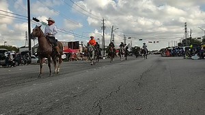 Fort Bend Herald on Reels