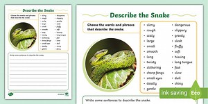 Describe the Snake Writing Activity Sheet