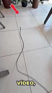 This USB cable has a trick that no one tells you about: you can convert any regular TV