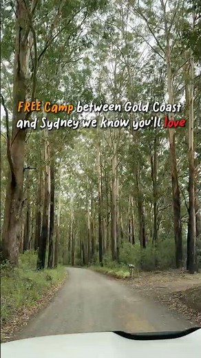 FREE Camp Coopernook Forest Park, NSW | #CampsAustraliaWide #campingaustralia #camping