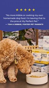 21 reactions | Your pet deserves perfect. Feed your furry friend fresh food with real ingredients for a longer, healthier life. 復 數 Human-grade, real ingredients   Praised by vets 北 ✅ Pre-portioned for easy mealtimes Use WELCOME15 to save 15% on your first subscription box, or visit your local pet store today! | My Perfect Pet | Facebook
