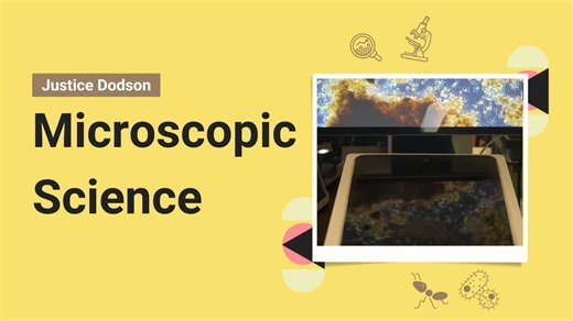 The Glass Creatures of Nature — Diatoms Under the Microscope