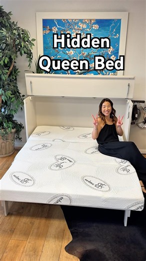 Hidden Queen Bed That Disappears in Seconds
