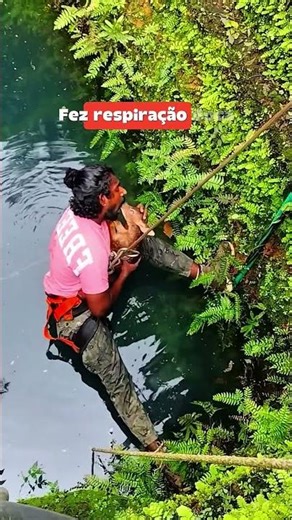 Look what He did to the deer.