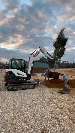 21K views · 519 reactions | More trees are being planted. We are working hard and making progress everyday. Thank you for continuing to camp with us at Paradise. We truly appreciate all of your support! | Paradise Ranch RV Resort | Facebook