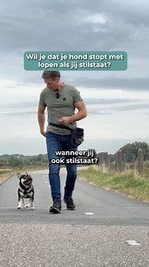 Wil je dat je hond stopt met lopen zodra jij stopt? In deze video laat ik je zien hoe je dat traint – zonder strijd, mét plezier! Tip: maak er een spelletje van. Stop = belonen. Zo wordt stilstaan leuk! 💡 Zitten hoeft niet – staan is ook prima (beter voor de knieën!). Welk hondengedrag wil jij dat ik de volgende keer aanpak? | Arvid van Putten Hondencoach