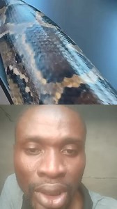 World's Longest Python #reels #viral #trending #snake | Learn With Peter | Facebook