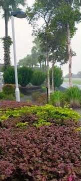 Find peace and calm with soothing natural rain sound.