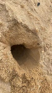 How to locally measure salt temperature | Paflex Comedies