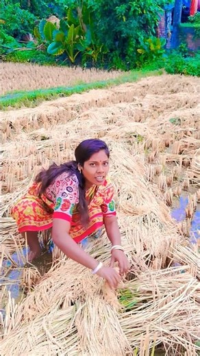 বৃষ্টির আমার কি ক্ষতি হল #shorts #rain #youtubeshorts #viral #song