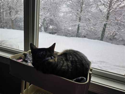 PHOTOS: Winter wonderland covers the Miami Valley