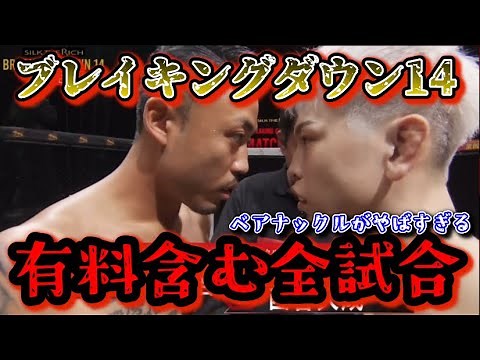ブレイキングダウン14全試合一挙公開！ベアナックルの試合がやばすぎる！衝撃的展開KOが連発！見所満載【朝倉未来/ブレイキングダウン/BreakingDown/オーディション/朝倉海】