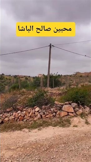 محبين المرحوم الفنان الشاعر صالح الباشا رحمه الله #صالح_الباشا #agadir #lbacha #amazigh #اكادير