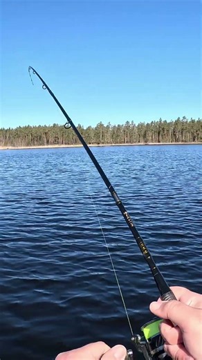Trout fishing full video on the channel #fishing #trout