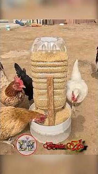 ¡No gastes dinero! Mejor haz este comedero automático para aves con una botella reciclada 🐔♻️.