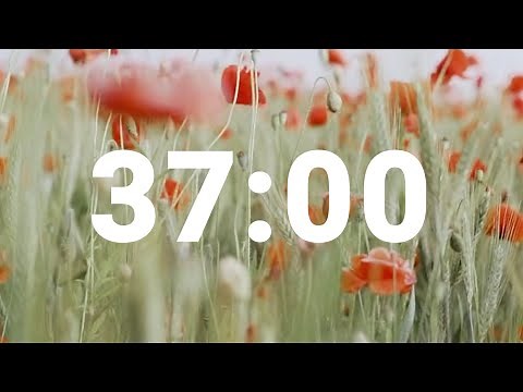 37 Minute Timer with Relaxing Music and Alarm, Countdown Clock for Stress Relief
