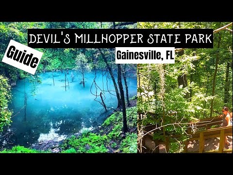 Visitors Guide to Devil's Millhopper State Park | Gainesville, FL | Waterfalls | Boardwalk | Picnic
